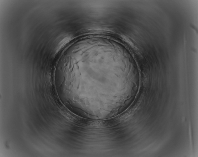 X0000095681259200801221218