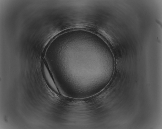 X0000095681260200801221218