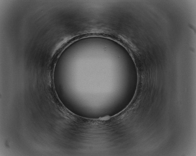 X0000095681262200801221218