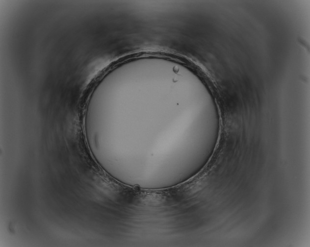 X0000095681263200801221218