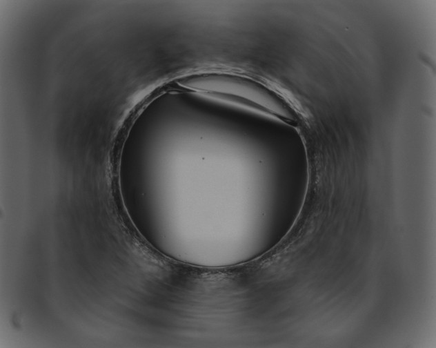 X0000095681264200801221218