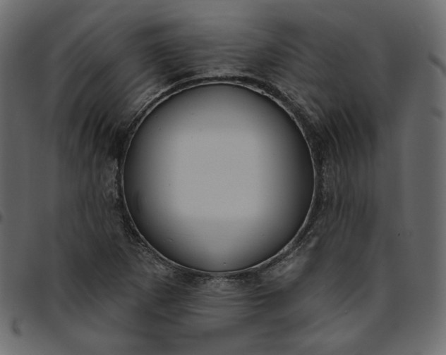 X0000095681265200801221218