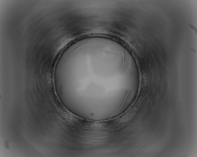 X0000095681266200801221218