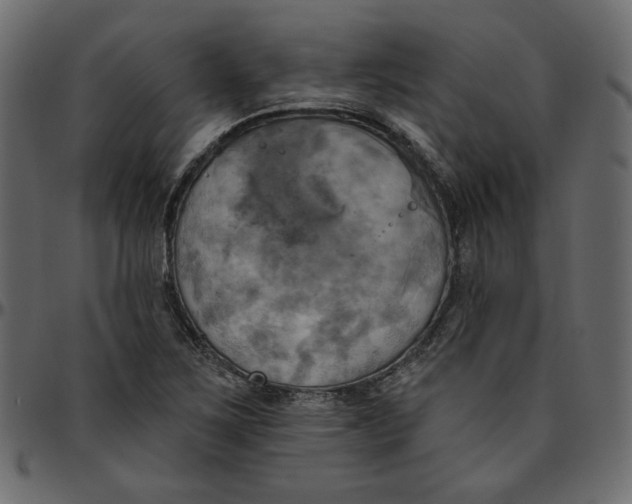 X0000095681267200801221218