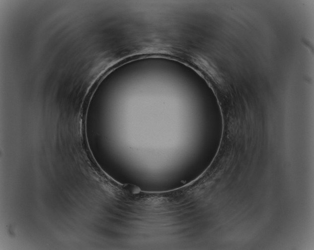 X0000095681268200801221218