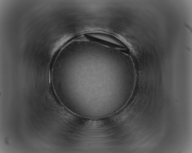 X0000095681269200801221218