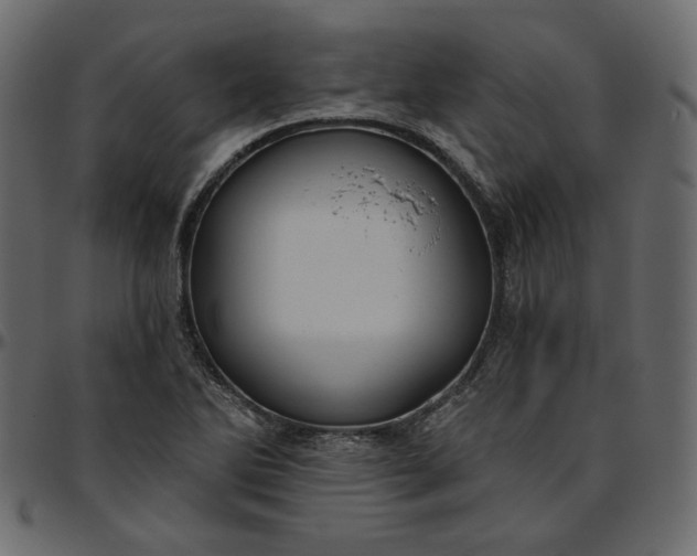 X0000095681270200801221218