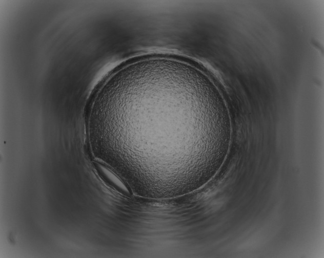 X0000095681271200801221218