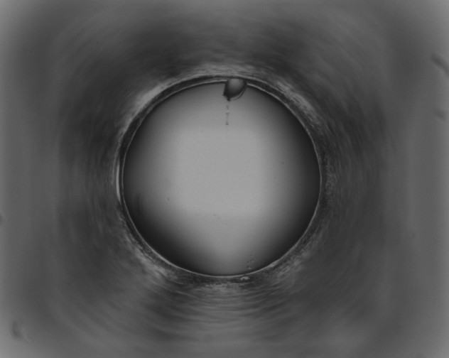 X0000095681272200801221218