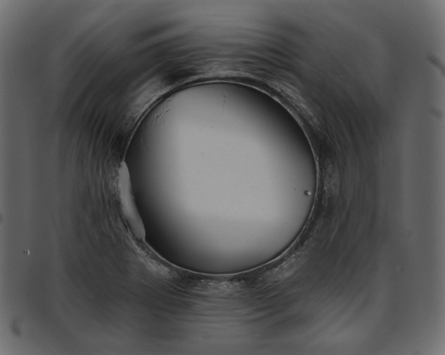 X0000095681273200801221218