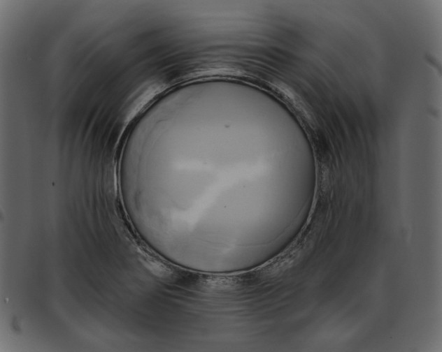 X0000095681274200801221218