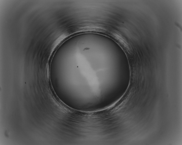 X0000095681275200801221218