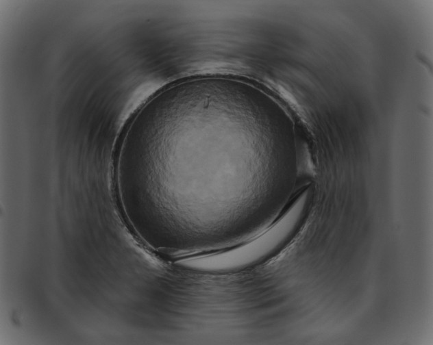 X0000095681277200801221218