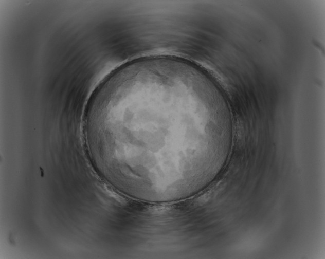 X0000095681278200801221218