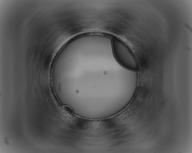 X0000095681279200801221218