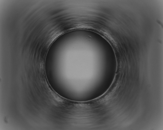 X0000095681281200801221218