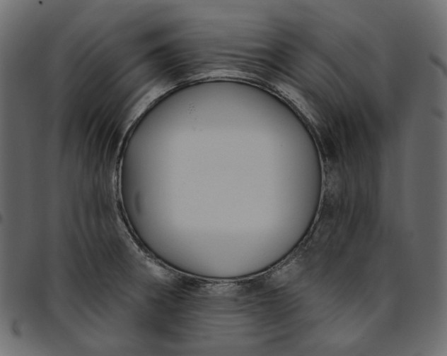 X0000095681282200801221218