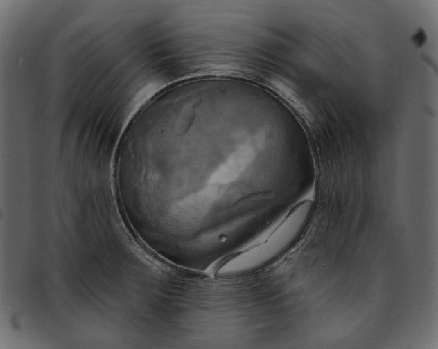 X0000095681283200801221218