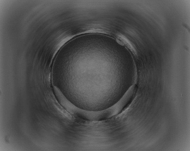 X0000095681284200801221218