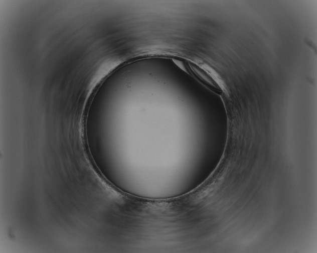 X0000095681285200801221218