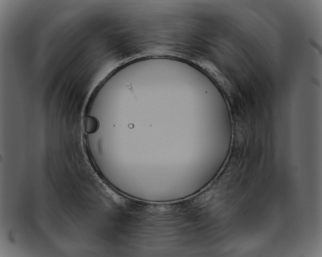 X0000095681286200801221218