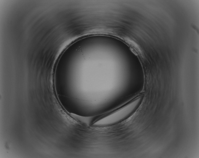 X0000095681288200801221218
