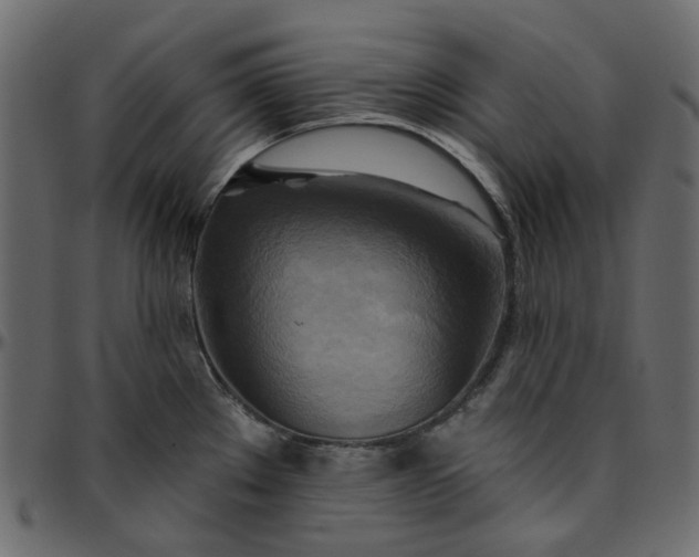 X0000095681289200801221218