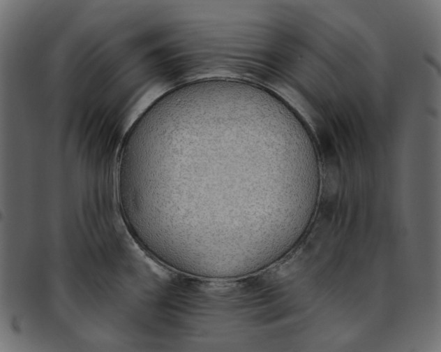 X0000095681290200801221218