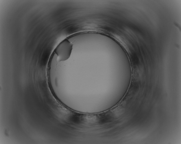 X0000095681291200801221218