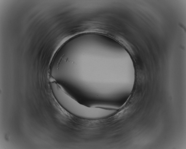 X0000095681292200801221218