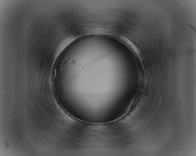 X0000095681293200801221218