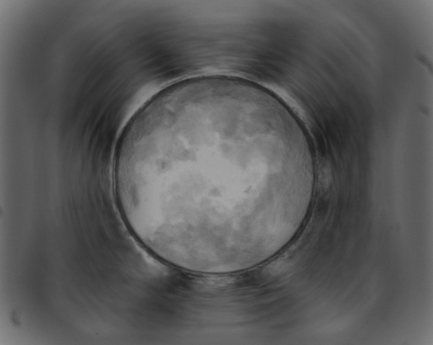 X0000095681294200801221218