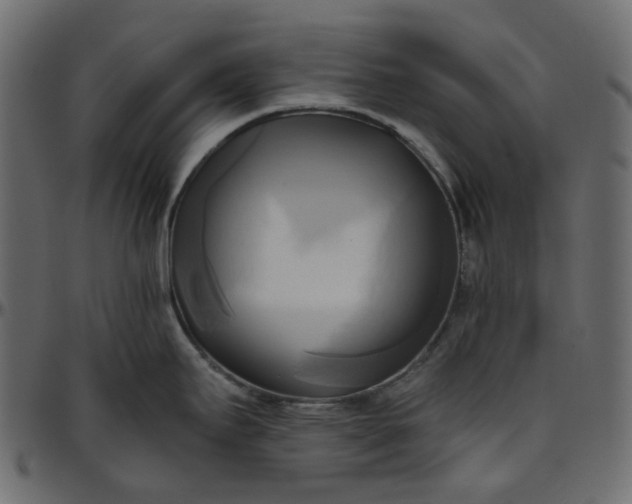 X0000095681295200801221218