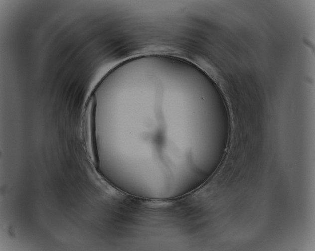 X0000095681296200801221218