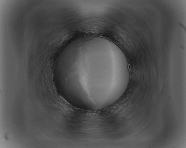 X0000095681297200801221217