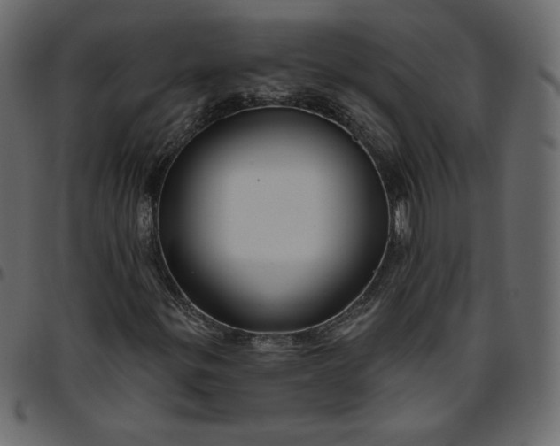 X0000095681299200801221217