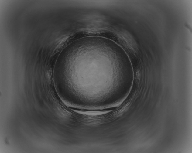 X0000095681300200801221217