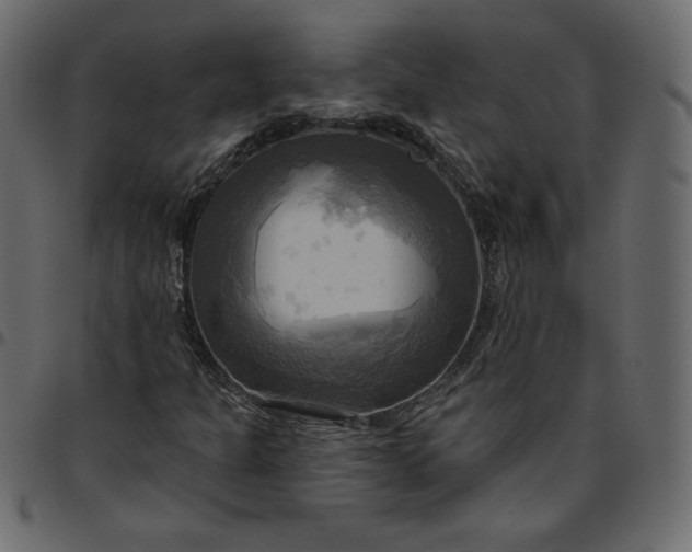 X0000095681301200801221217