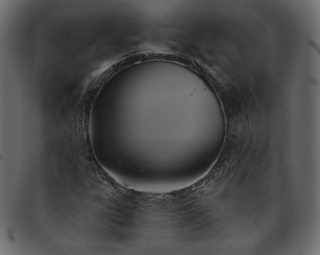 X0000095681303200801221217