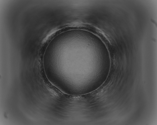 X0000095681304200801221217