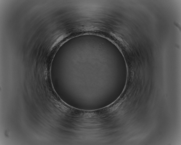 X0000095681306200801221217