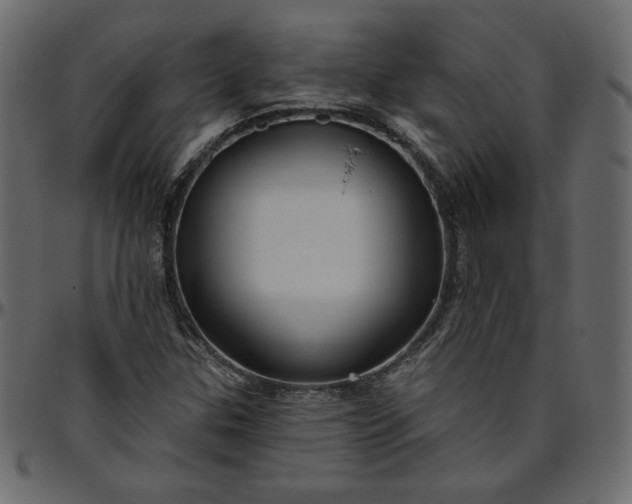 X0000095681307200801221217