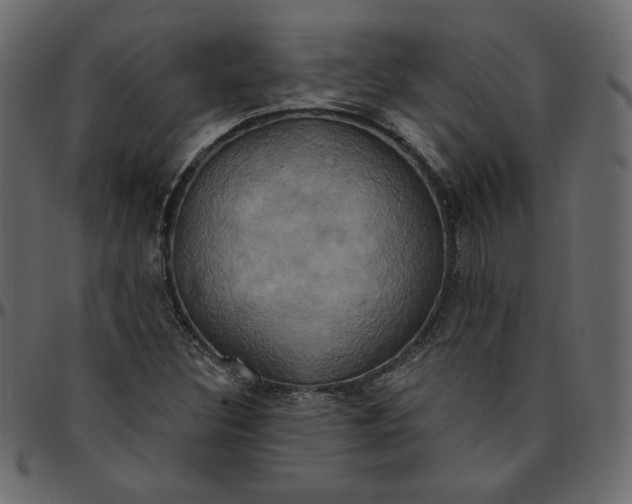 X0000095681308200801221217