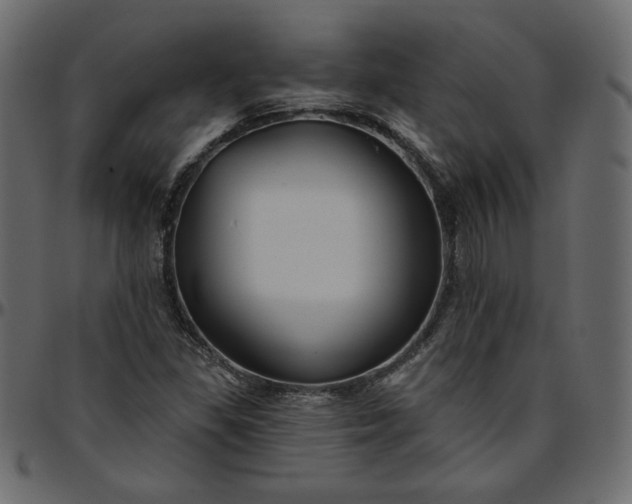 X0000095681309200801221217