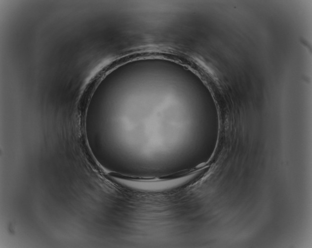 X0000095681310200801221217