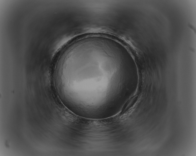 X0000095681311200801221217