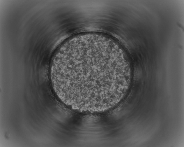 X0000095681314200801221217