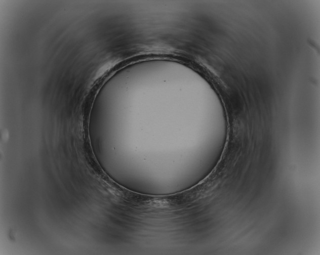 X0000095681315200801221217