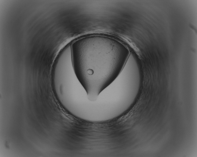 X0000095681316200801221217