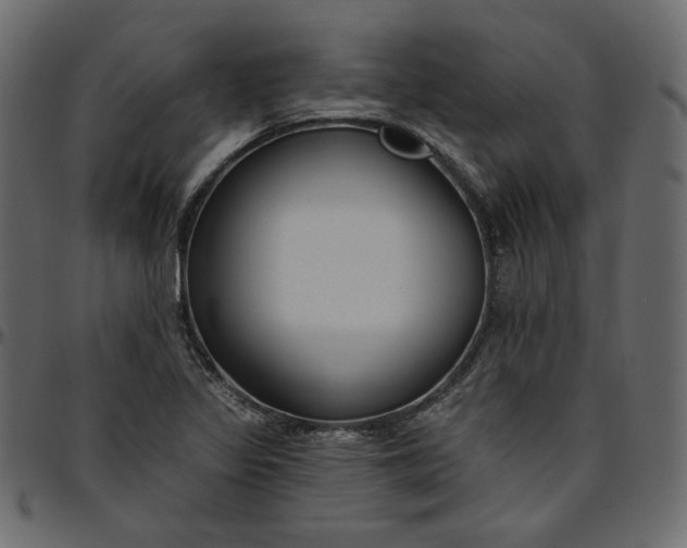 X0000095681317200801221217